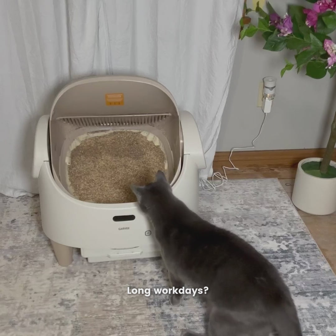 Garvee Automatic Cat Litter Box with App Control, Smart Self Cleaning Odor-Free Cat Toilet with Large Waste Bin and Disposable Bags, Open Top Design for Single or Multi Cat Households, Gray