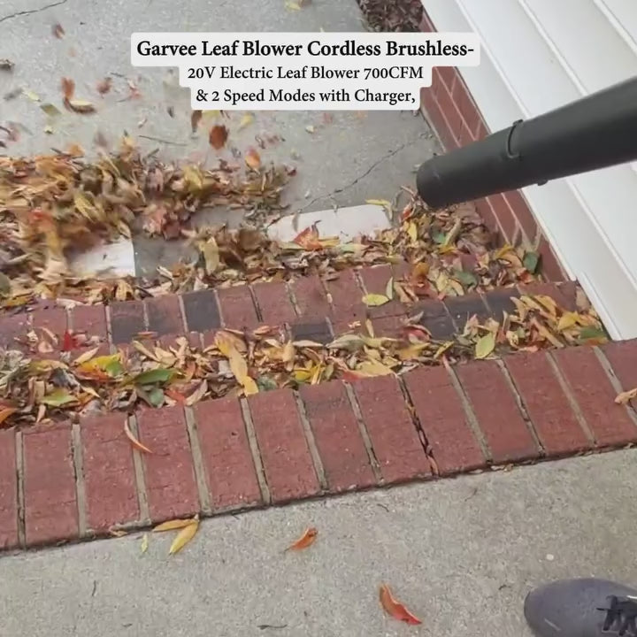 Garvee Leaf Blower Cordless Brushless- 20V Electric Leaf Blower 700CFM & 2 Speed Modes with Charger, 1*4.0Ah Battery Powered for Lawn Care