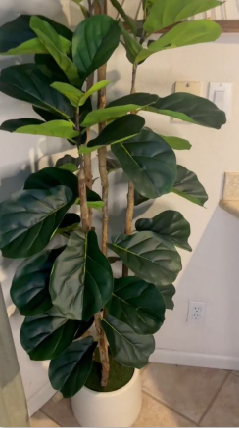 Garvee 6ft Faux Fiddle Leaf Fig Tree with White Tall Planter for Indoor Outdoor Decor