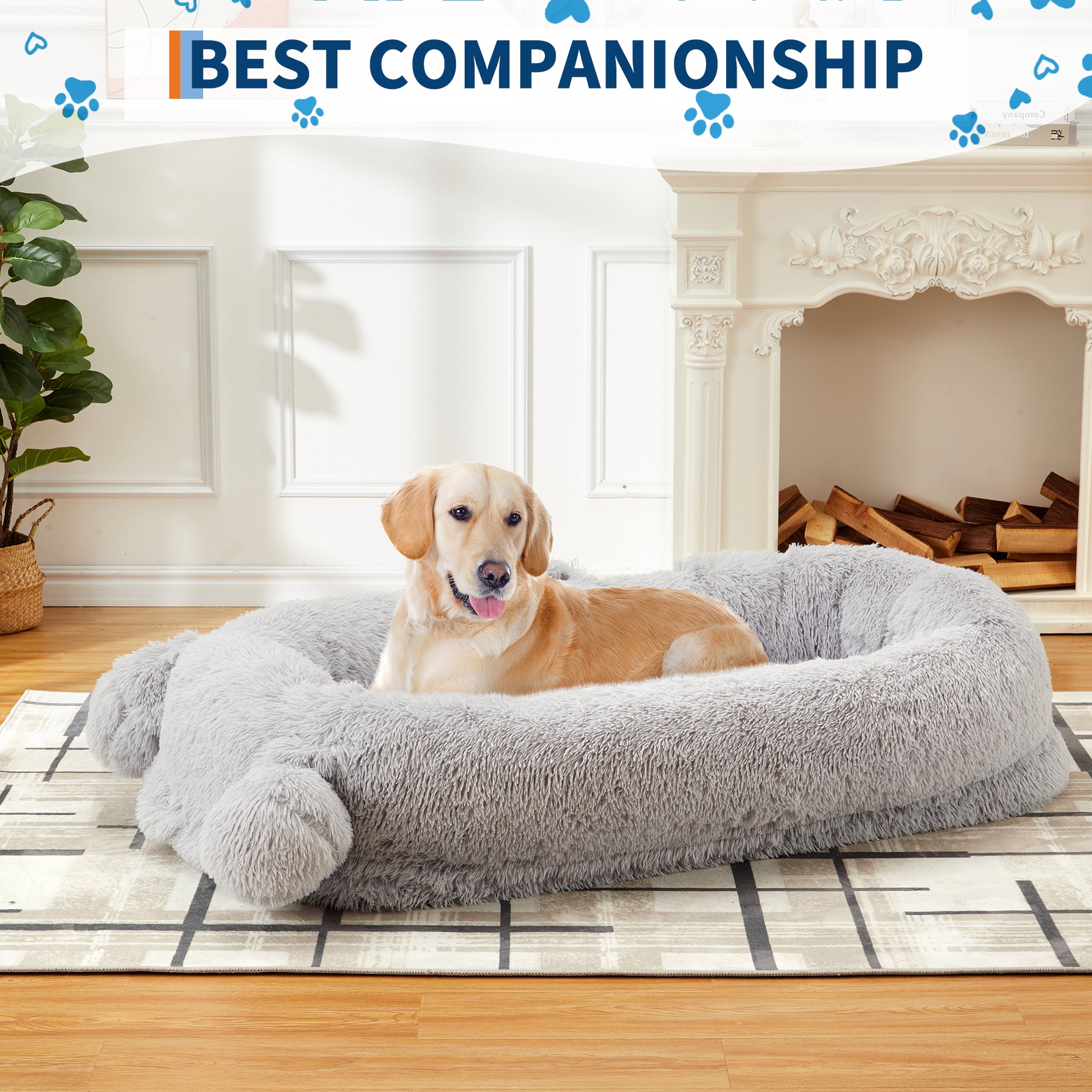 PHO_34YRCX8A