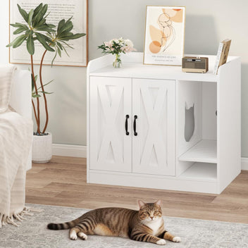 PPS_33B4LQAY