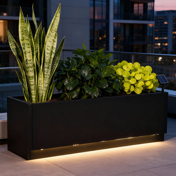 PPG_3449BQ4V