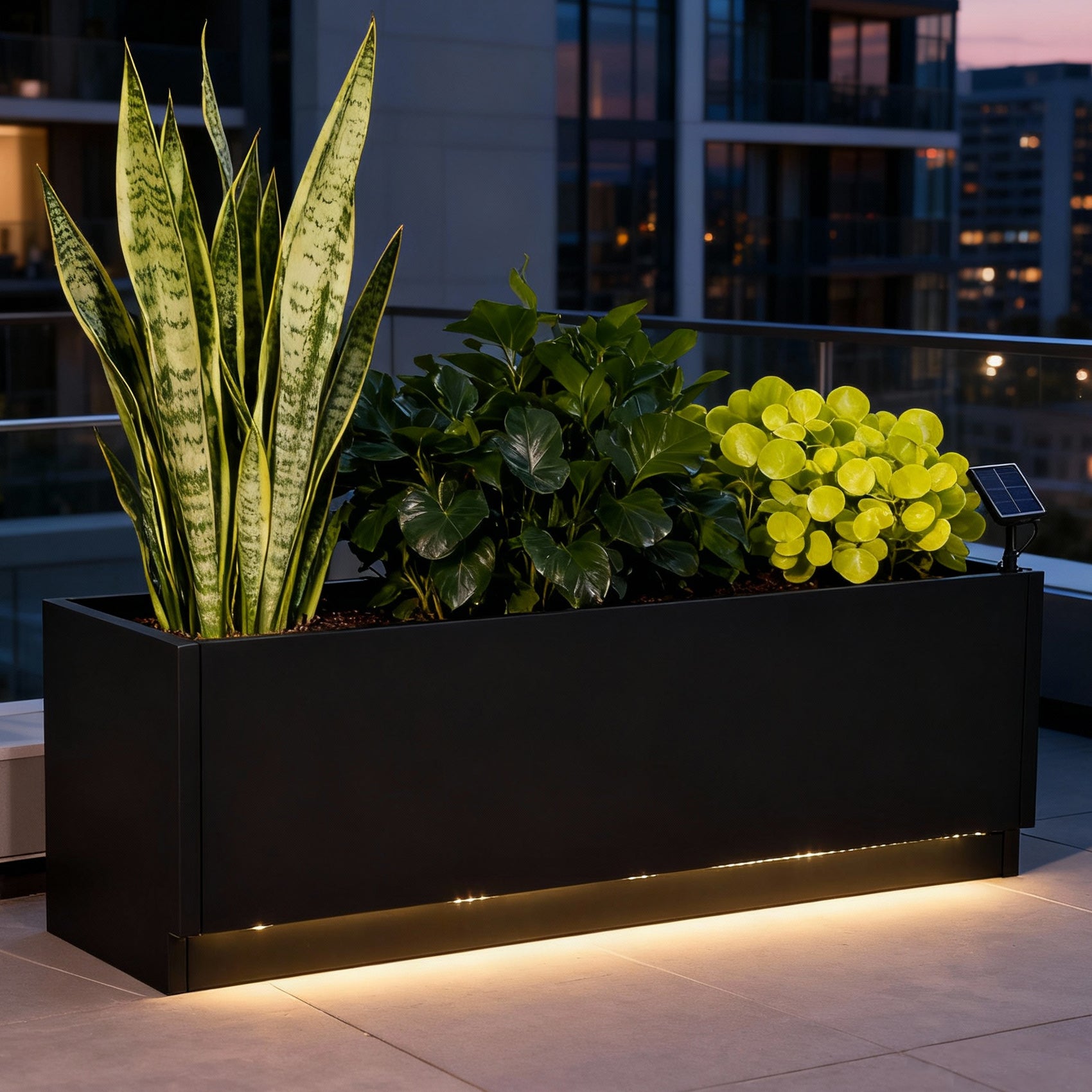 PPG_3449BQ4V
