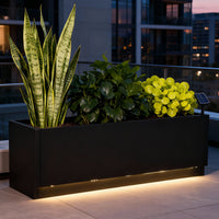 PPG_3449BQ4V
