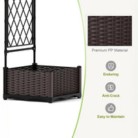 PPG_33MY9LQX