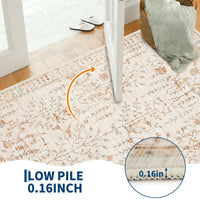 PHK_38DELMPB