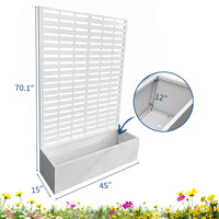 PPG_34CNEMVA
