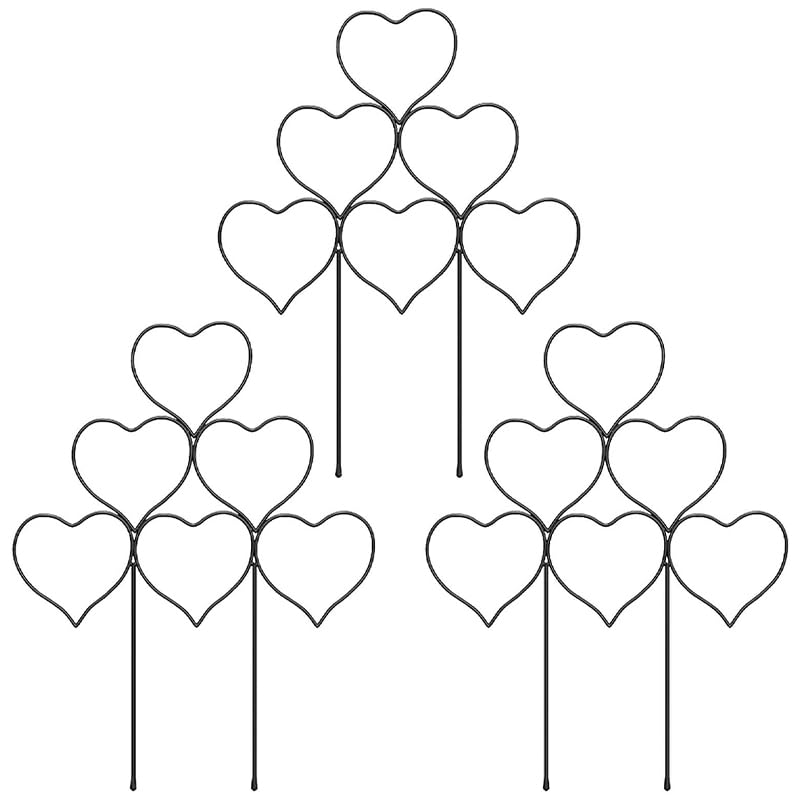 PPG_34MYMN9Q