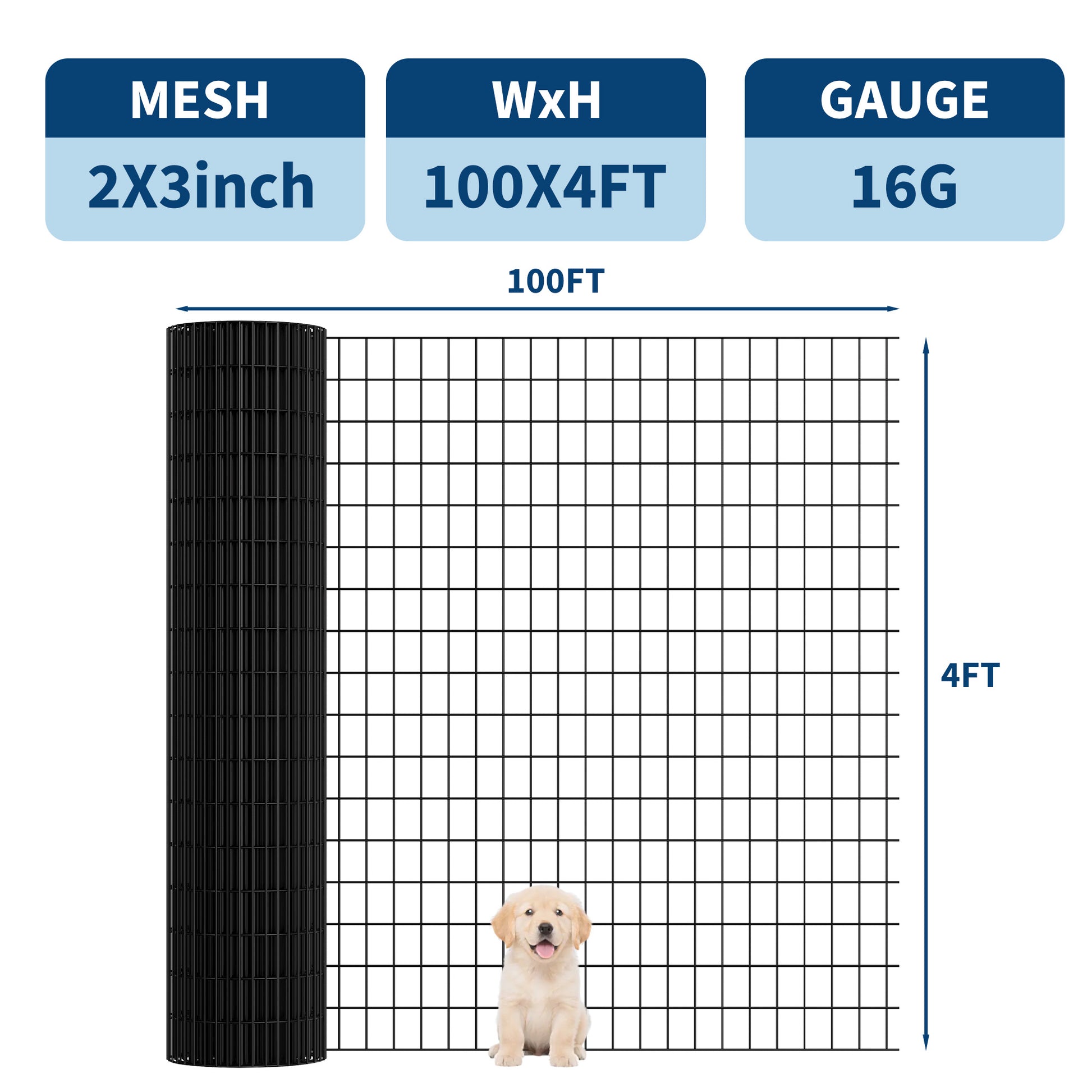 PPG_35GN58MM