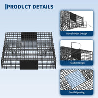 PPG_34RXWRPD