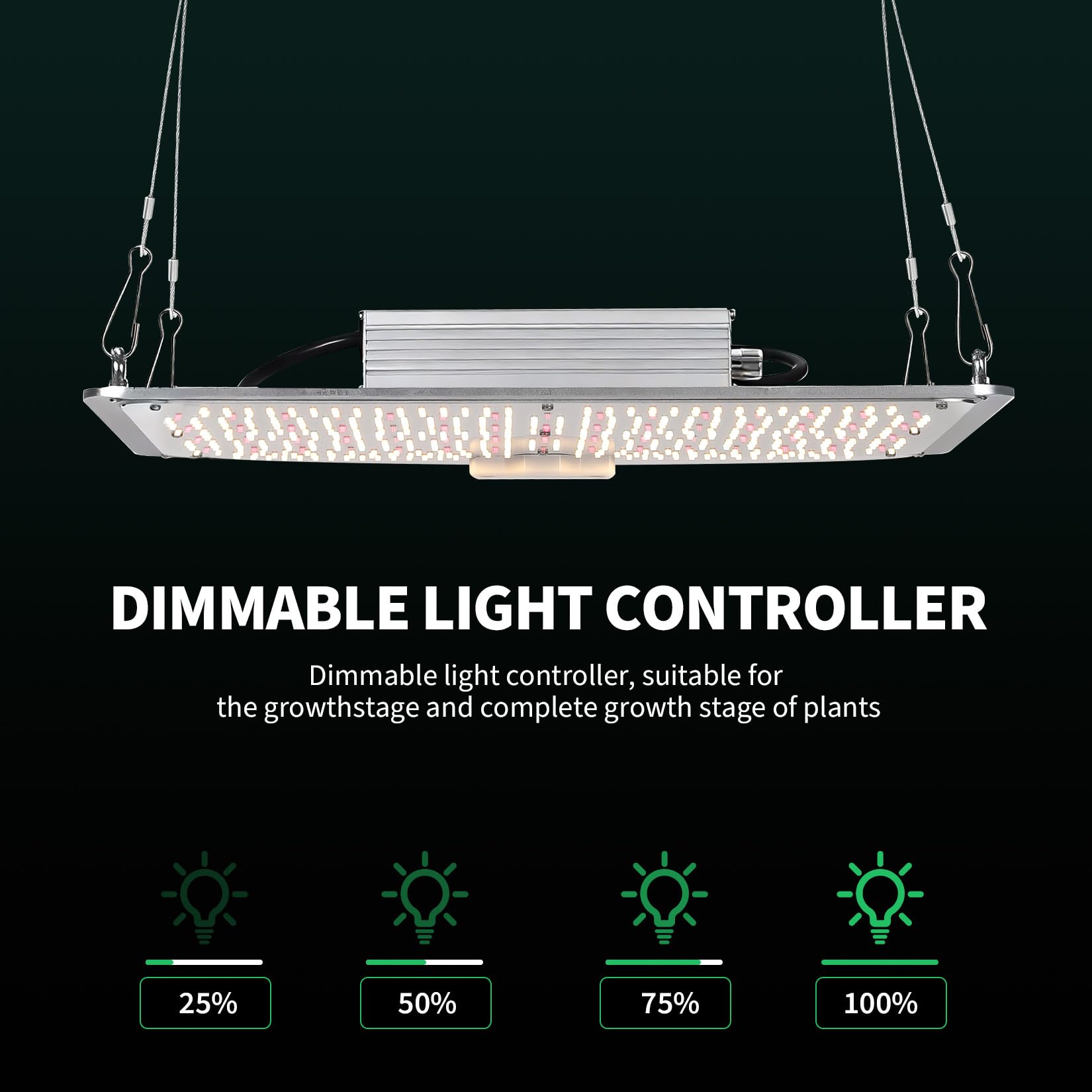 PPG_3455KWQ5