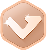 Bronze Icon